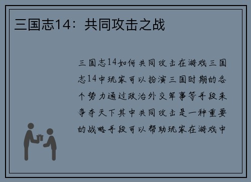 三国志14：共同攻击之战